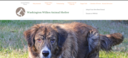 Washington Wilkes Animal Shelter